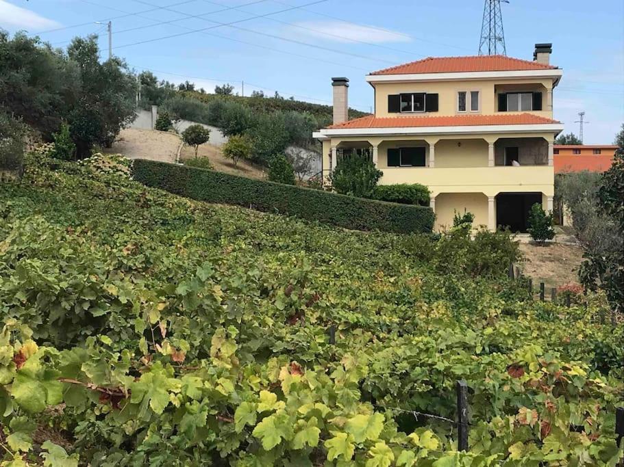 Casa Dos Copins Villa Lamego Exterior photo